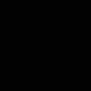 Meet your Posher, Dominic